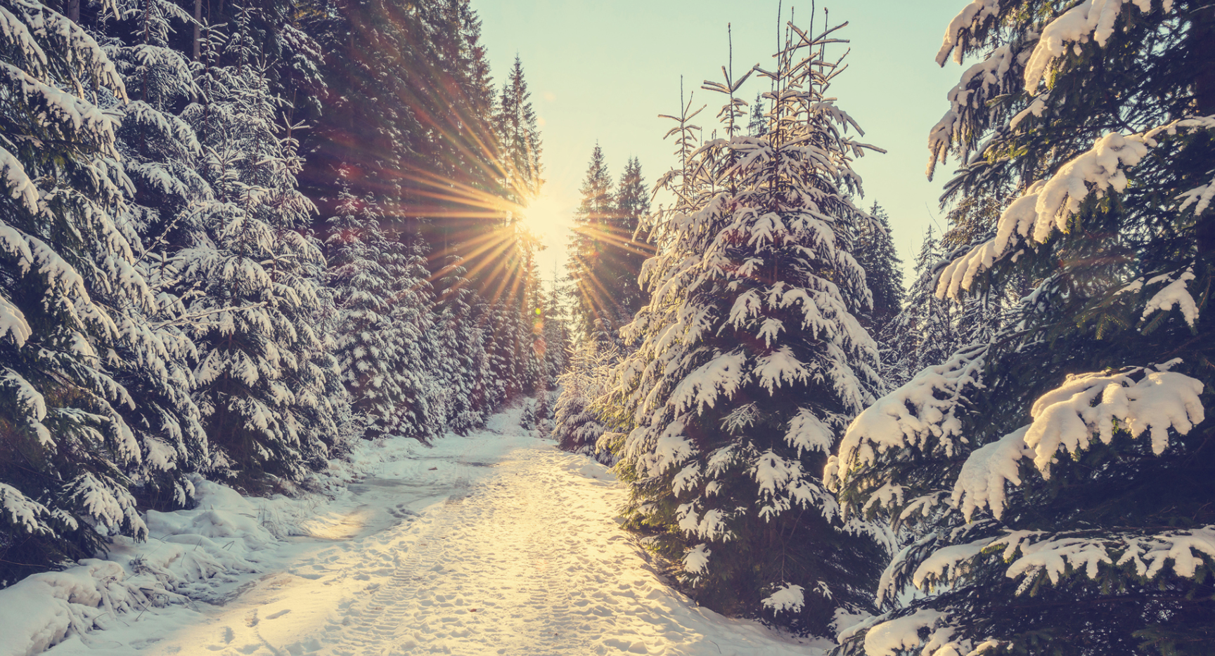 5 Tips to Celebrate Winter Solstice