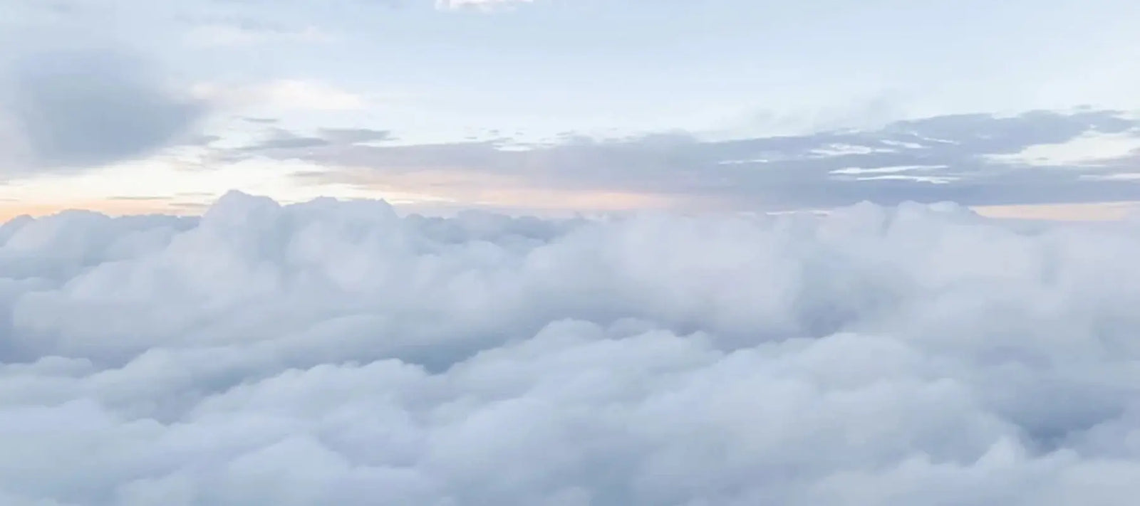 Ease Jet Lag & Jitters Naturally