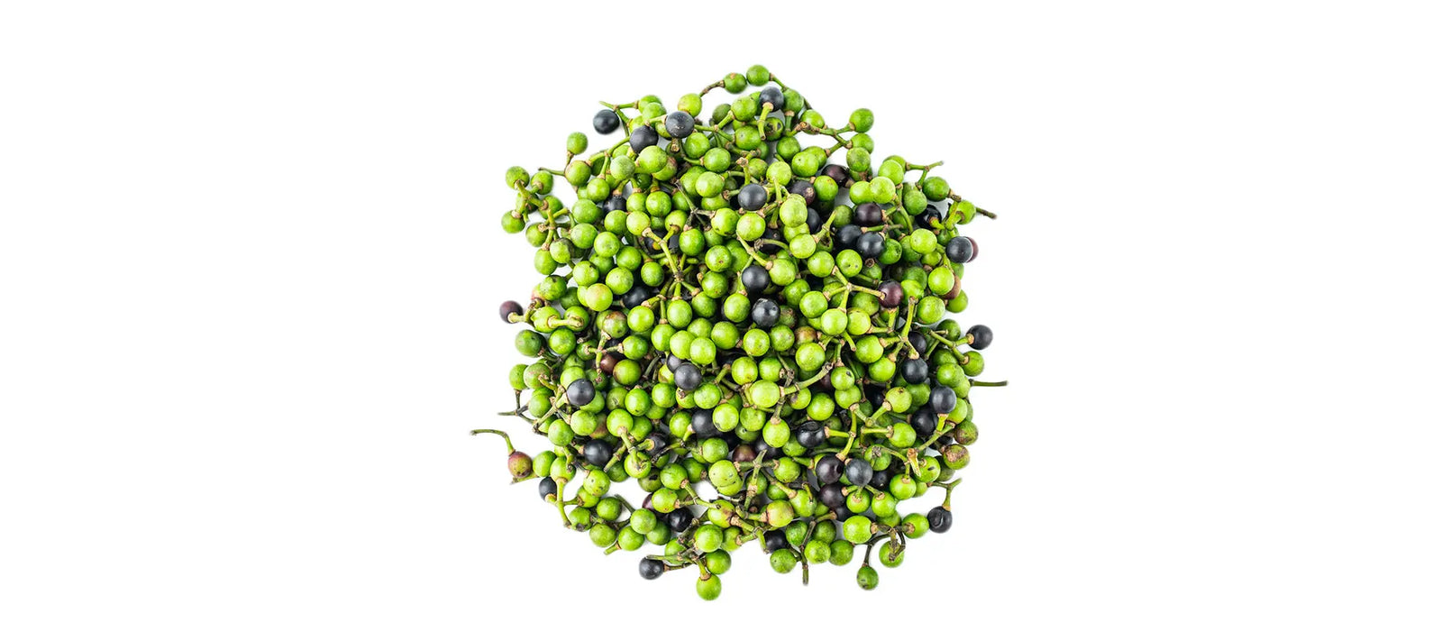 Litsea Cubeba