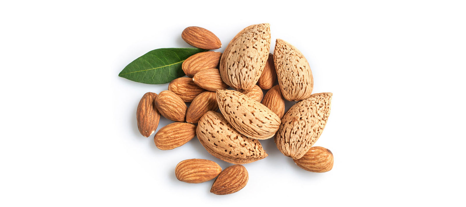 Sweet Almond