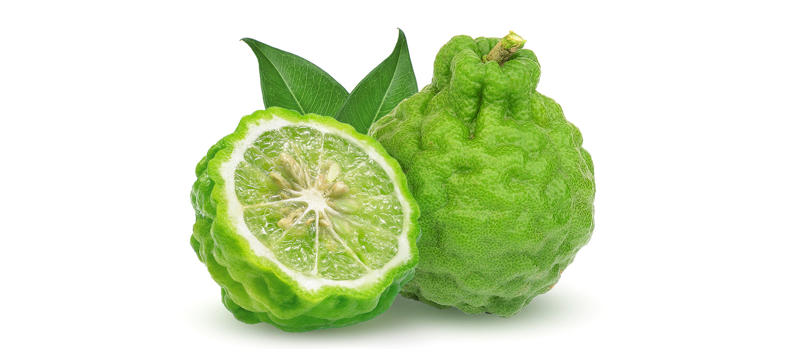 Bergamot