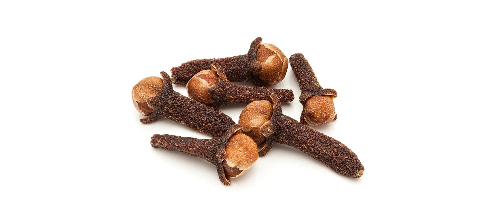 Clove Bud