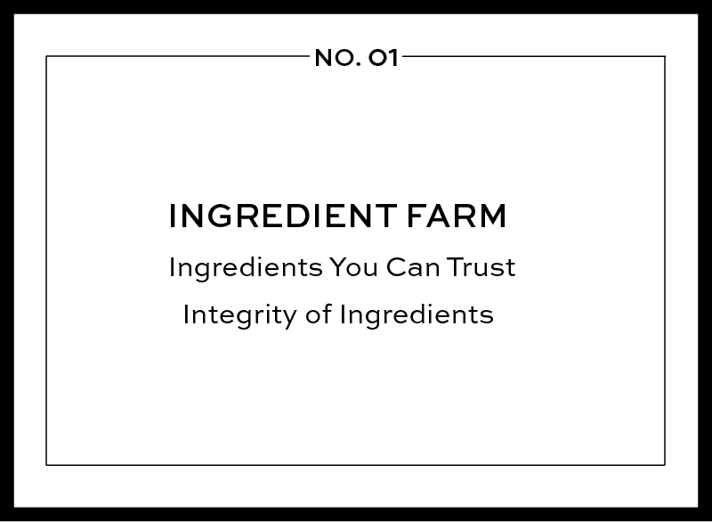 Campo Beauty our nine pillars of aromatherapy of ingredient farm.