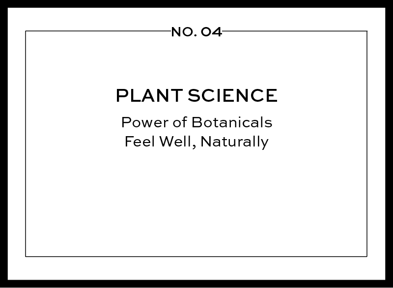 Campo Beauty our nine pillars of aromatherapy of plant science.