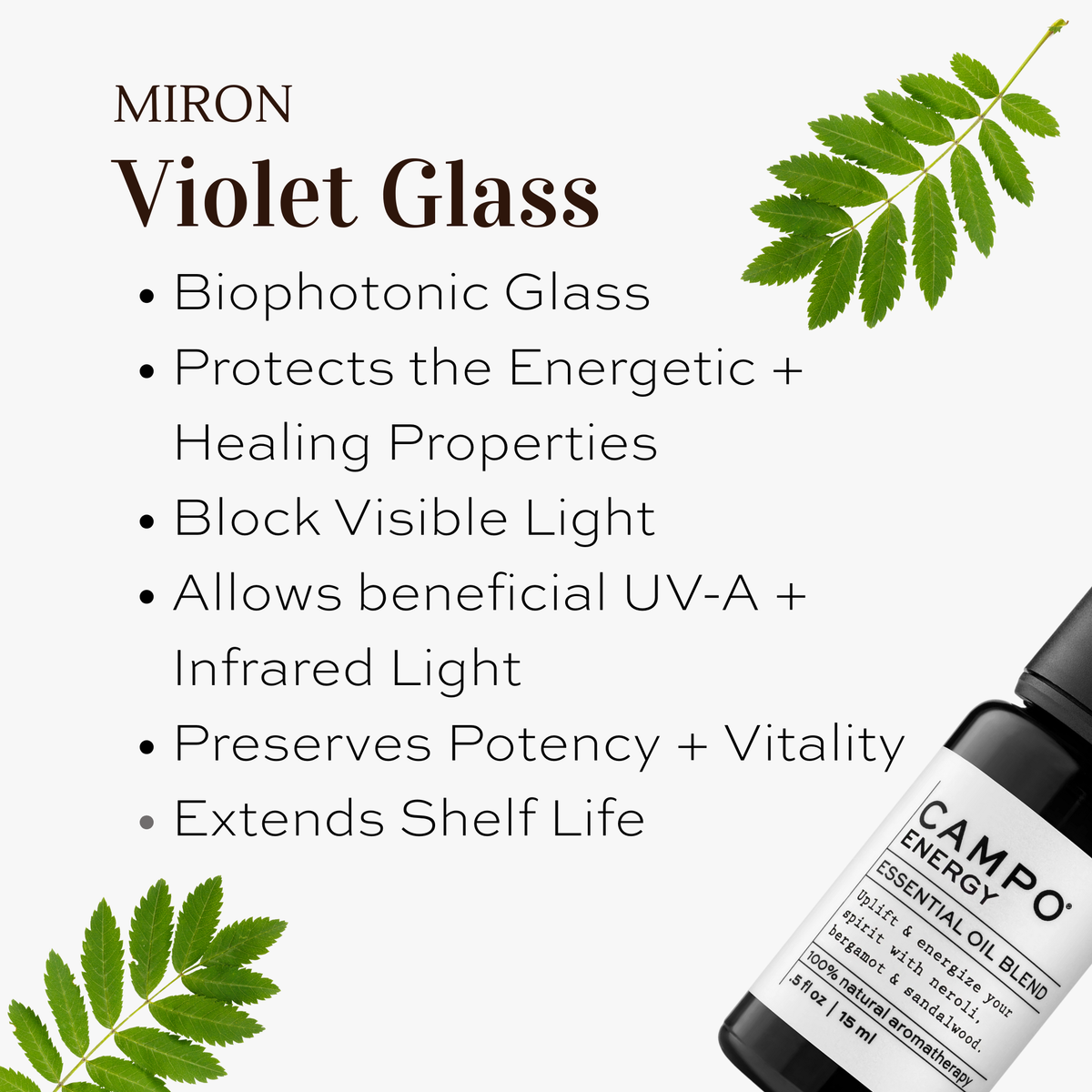 SLEEP Pure Essential Oil Blend