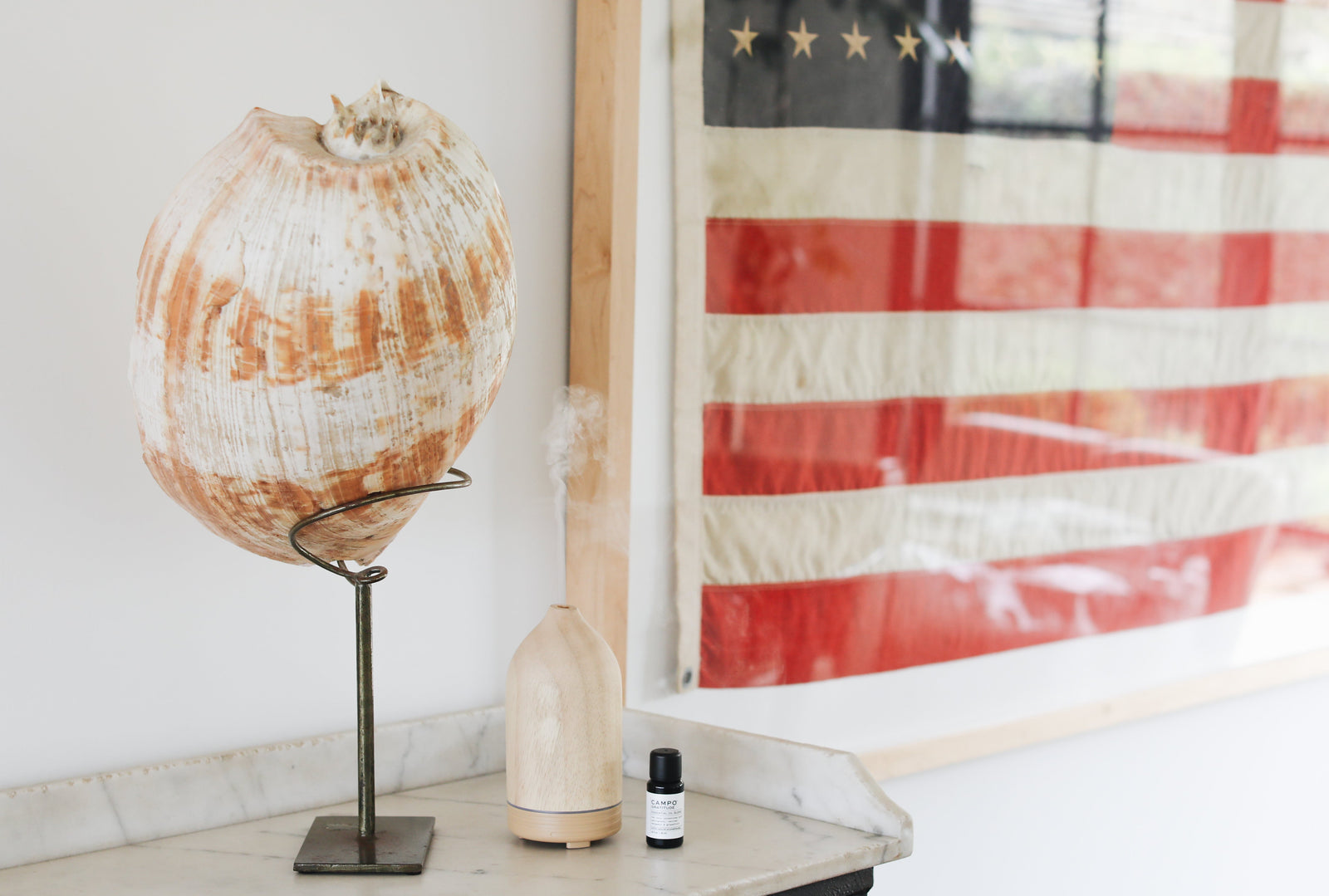 CAMPO DIFFUSER AND ESSENTIAL OIL IN FRONT OF USA FLAG 