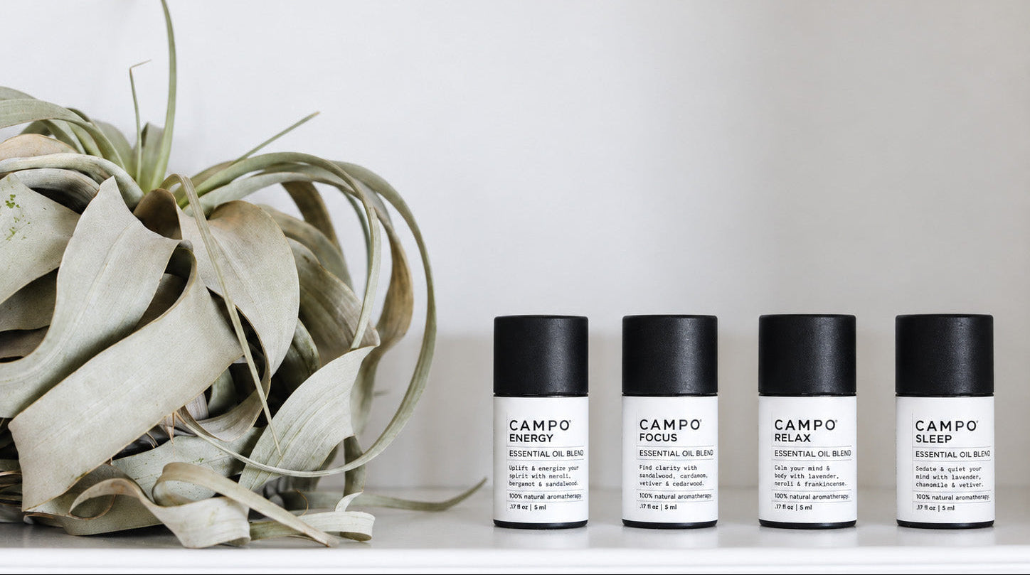 Campo Daily Rituals Essential Oils Energy Focus Relax and Sleep on a white shelf with a succulent plant 