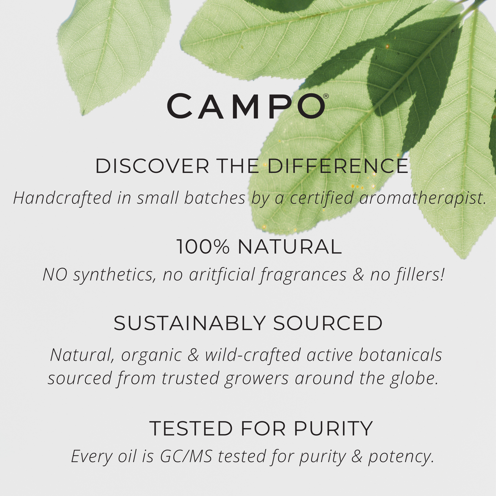 Campo Beauty GRATITUDE Blend 15 ml Essential Oil. Inspires feelings of purpose, courage & gratitude with 100% natural pure essential oil blend of Petitgrain, Bitter Orange, Vetiver, Grapefruit & Bergamot.