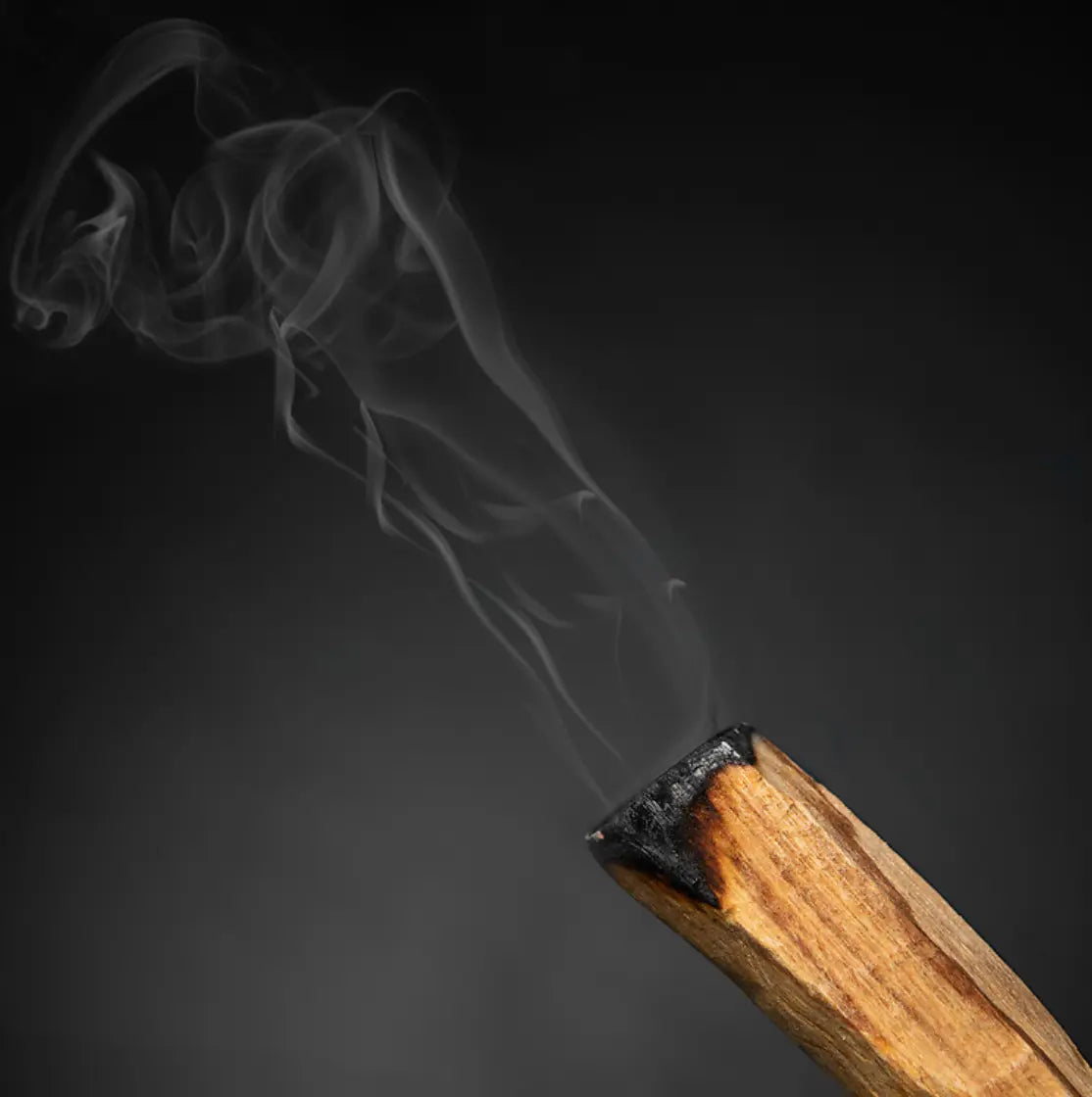 tobacco smudge stick Ceder (tobacco)(figwort)smudge Sticks also known as Grandmother Sage Palo Santo Smudge Sticks +