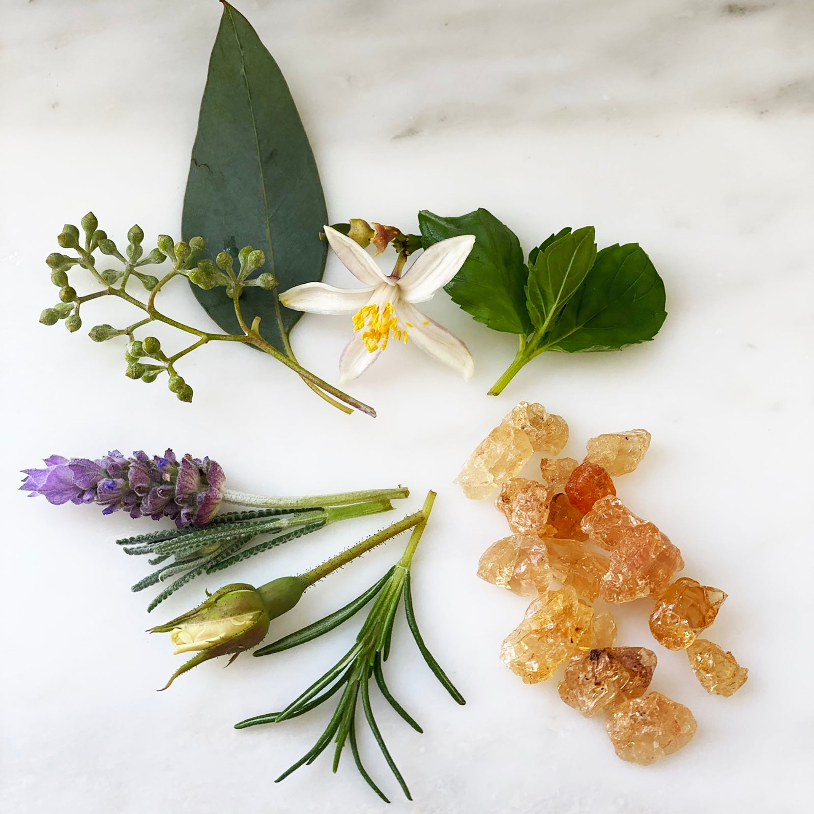 Campo Beauty Hydration Body Oil - RELAX Blend that in 60 ml. Dispels feelings of stress to promote deep relaxation.  Gives your skin an instant glow and an infusion of nourishing and deep hydration.  A calming blend of herbaceous floral notes of French Lavender, Rosemary, Frankincense, Italian Neroli Orange Blossom, Sweet Orange, and Bitter Orange. Blended with 100% natural beauty carrier oils.